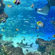 ヒメ日記 2025/05/19 13:11 投稿 すずな BAD COMPANY（バッドカンパニー）