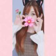 ヒメ日記 2025/11/15 12:27 投稿 すずな BAD COMPANY（バッドカンパニー）