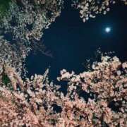 織田 春香 究極の焦らしプレイ CASA BIANCA（カーサ・ビアンカ）