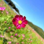 織田 春香 ありがとう♡ CASA BIANCA（カーサ・ビアンカ）