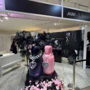 ヒメ日記 2025/04/08 17:49 投稿 さく an_an（アンアン）