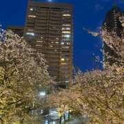 ヒメ日記 2025/04/12 16:20 投稿 さく an_an（アンアン）