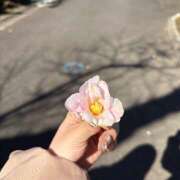 ヒメ日記 2025/05/30 20:52 投稿 さく an_an（アンアン）