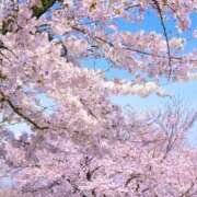 ヒメ日記 2026/03/01 10:39 投稿 あずみ ももいろワイフ(久喜)