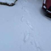 ヒメ日記 2026/02/08 07:53 投稿 さや 11チャンネル