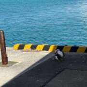 ヒメ日記 2026/02/15 22:25 投稿 さや 11チャンネル