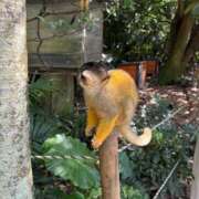 ヒメ日記 2026/02/18 23:36 投稿 さや 11チャンネル