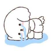 ヒメ日記 2026/03/09 16:59 投稿 さや 11チャンネル