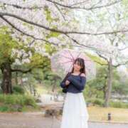 ヒメ日記 2026/04/02 10:04 投稿 さや 11チャンネル