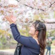 ヒメ日記 2026/04/03 06:07 投稿 さや 11チャンネル