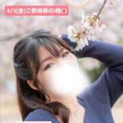 ヒメ日記 2026/04/04 10:01 投稿 さや 11チャンネル