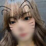 ヒメ日記 2025/08/19 01:16 投稿 せいら ギャルズネットワーク神戸