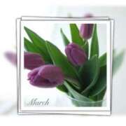 ヒメ日記 2025/03/28 16:26 投稿 立花　みき ギン妻パラダイス 谷九店