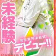 ヒメ日記 2025/03/05 18:51 投稿 くう 京都BOOK MARK（ブックマーク）