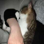 ヒメ日記 2025/03/13 22:28 投稿 くう 京都BOOK MARK（ブックマーク）