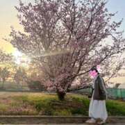 ヒメ日記 2025/03/28 18:08 投稿 くう 京都BOOK MARK（ブックマーク）