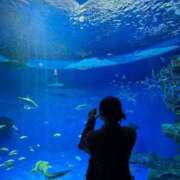 ヒメ日記 2025/04/08 19:28 投稿 くう 京都BOOK MARK（ブックマーク）