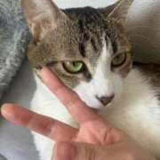 ヒメ日記 2025/04/09 13:18 投稿 くう 京都BOOK MARK（ブックマーク）