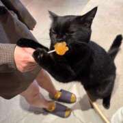 ヒメ日記 2025/04/09 19:18 投稿 くう 京都BOOK MARK（ブックマーク）