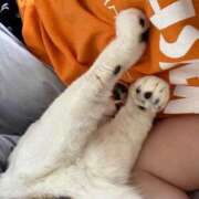 ヒメ日記 2025/04/13 22:48 投稿 くう 京都BOOK MARK（ブックマーク）