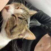 ヒメ日記 2025/04/27 16:48 投稿 くう 京都BOOK MARK（ブックマーク）