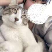 ヒメ日記 2025/04/29 17:28 投稿 くう 京都BOOK MARK（ブックマーク）