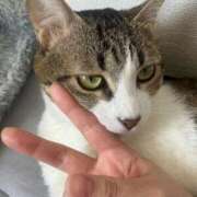 ヒメ日記 2025/05/01 16:48 投稿 くう 京都BOOK MARK（ブックマーク）