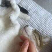 ヒメ日記 2025/05/03 16:48 投稿 くう 京都BOOK MARK（ブックマーク）