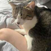 ヒメ日記 2025/05/04 20:13 投稿 くう 京都BOOK MARK（ブックマーク）