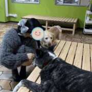 ヒメ日記 2025/05/07 17:28 投稿 くう 京都BOOK MARK（ブックマーク）