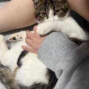 ヒメ日記 2025/05/23 22:58 投稿 くう 京都BOOK MARK（ブックマーク）