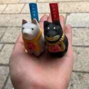 ヒメ日記 2025/05/26 17:35 投稿 くう 京都BOOK MARK（ブックマーク）