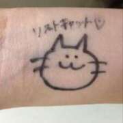 ヒメ日記 2025/05/26 18:58 投稿 くう 京都BOOK MARK（ブックマーク）