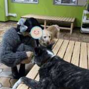 ヒメ日記 2025/05/28 18:31 投稿 くう 京都BOOK MARK（ブックマーク）