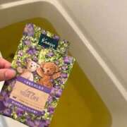 ヒメ日記 2025/06/08 17:08 投稿 くう 京都BOOK MARK（ブックマーク）