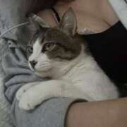 ヒメ日記 2025/06/25 08:38 投稿 くう 京都BOOK MARK（ブックマーク）