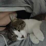 ヒメ日記 2025/07/08 15:01 投稿 くう 京都BOOK MARK（ブックマーク）