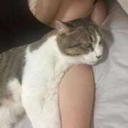 ヒメ日記 2025/09/10 04:08 投稿 くう 京都BOOK MARK（ブックマーク）