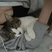 ヒメ日記 2025/09/10 21:23 投稿 くう 京都BOOK MARK（ブックマーク）