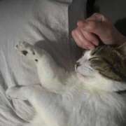 ヒメ日記 2025/09/16 20:40 投稿 くう 京都BOOK MARK（ブックマーク）