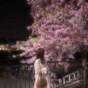 ヒメ日記 2025/03/24 22:41 投稿 カノン Aroma De Pari（アロマ・デ・パリ）