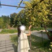 ヒメ日記 2025/05/19 08:01 投稿 カノン Aroma De Pari（アロマ・デ・パリ）