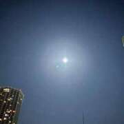 ヒメ日記 2025/03/25 20:46 投稿 サクラ エピソード(品川)