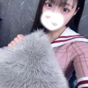 ヒメ日記 2025/04/17 14:46 投稿 サクラ エピソード(品川)