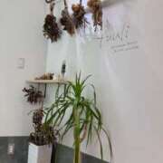 ヒメ日記 2025/03/07 14:03 投稿 えりか セクシー(長崎)