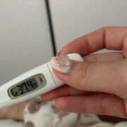 ヒメ日記 2025/11/15 17:48 投稿 えりか セクシー(長崎)