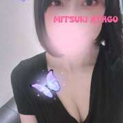 ヒメ日記 2025/03/31 17:18 投稿 愛宕みつき 麗しいマダム