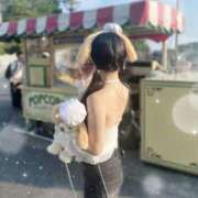 ヒメ日記 2025/09/01 16:01 投稿 めめ The White