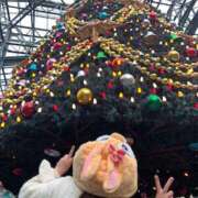 ヒメ日記 2025/12/19 12:09 投稿 ゆずき 熟女SPA