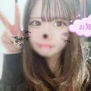 ヒメ日記 2025/04/16 13:29 投稿 ありさ[業界未経験の女の子」 Masquerade(マスカレード)